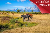 Yellowstone and Grand Teton 6-Day Tour thumbnail 1
