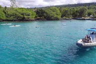 Kailua-Kona Snorkel Cruise in Kealakekua Bay thumbnail 2