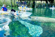 Silver Springs Kayak and Paddleboard Tour thumbnail 2
