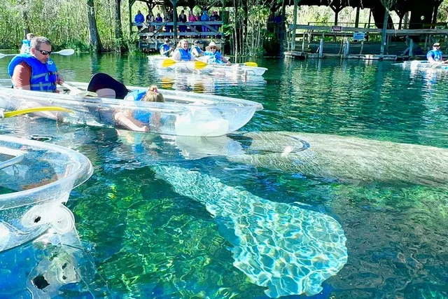 Silver Springs Kayak and Paddleboard Tour - Image 2