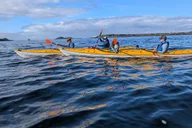 Sitka Island Discovery Kayak Tour thumbnail 5