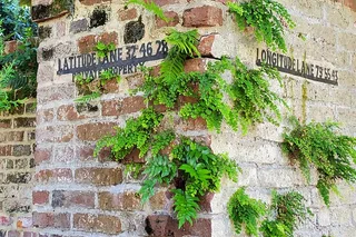 Charleston Walking Tour of Historic District
