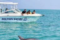 Key West Dolphin and Snorkel Tour thumbnail 2