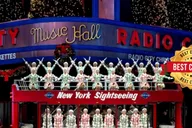 New York City Christmas Rickshaw Tour thumbnail 1