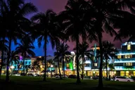 Miami City and Beach Lights Panoramic Tour 1.5 hr thumbnail 1