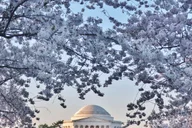 Washington DC Tour from New York City thumbnail 4