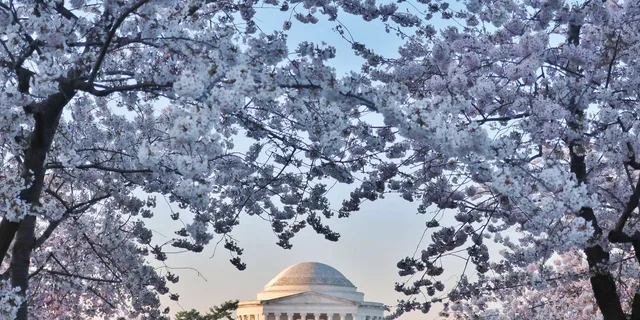 Washington DC Tour from New York City - Image 4