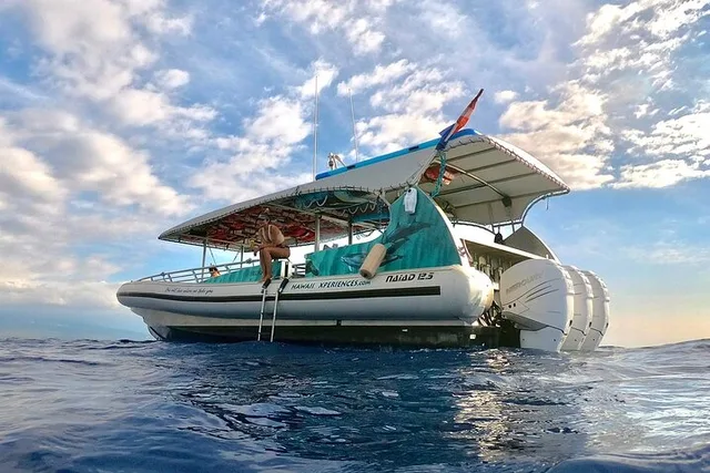Hawaii Manta Ray Snorkel Experience 2 hr - Image 5