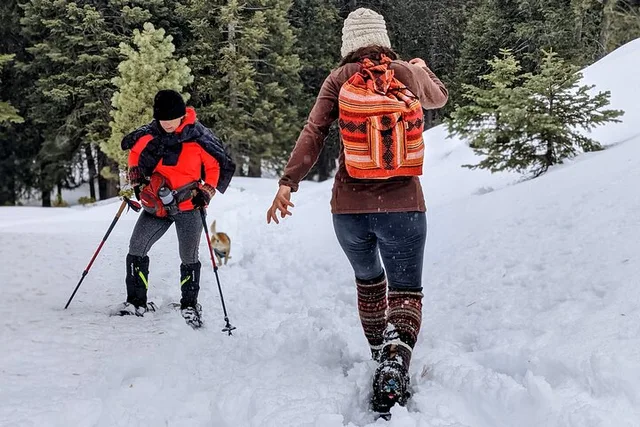 Big Bear Lake Snowshoe Tour with Hot Chocolate - Image 2