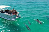 Cocoa Beach Boat Tour with Captain 2 hr thumbnail 4