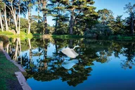 San Francisco Golden Gate Park Tour thumbnail 1
