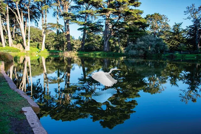 San Francisco Golden Gate Park Tour - Image 1