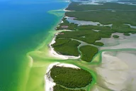 Goodland Dolphin Tour by Jet Ski thumbnail 5