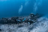 Oahu Scuba Dive at Electric Beach 2 hr thumbnail 2