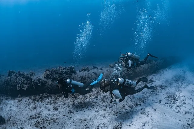 Oahu Scuba Dive at Electric Beach 2 hr - Image 2