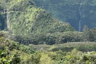Lahaina Road to Hana Private Tour thumbnail 4