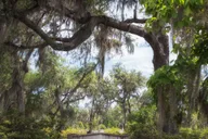 Savannah Self-Guided Audio Ghost Tour thumbnail 5