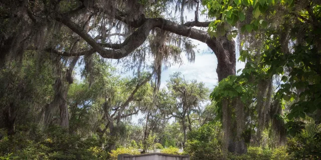 Savannah Self-Guided Audio Ghost Tour - Image 5