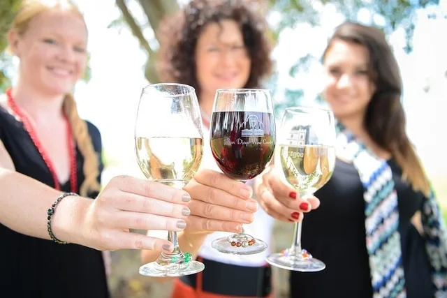 San Diego Vineyard Tour with Tastings - Image 4