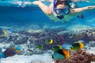 Kailua Kona Snorkeling Tour at Kealakekua Bay 3 hr thumbnail 6