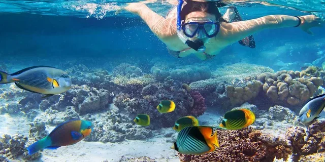 Kailua Kona Snorkeling Tour at Kealakekua Bay 3 hr - Image 6