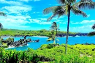 Hana Rainforest Tour thumbnail 5