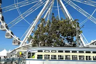 San Francisco SkyStar Observation Wheel Tour 1 hr thumbnail 3