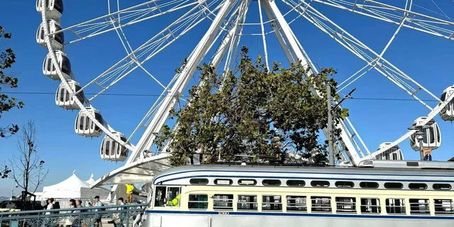 San Francisco SkyStar Observation Wheel Tour 1 hr - Image 3