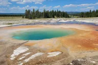 Yellowstone National Park Private Day Tour thumbnail 1
