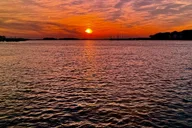 Charleston Sunset Dolphin Cruise thumbnail 5
