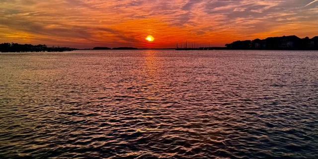 Charleston Sunset Dolphin Cruise - Image 5