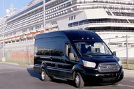 Kissimmee to Port Canaveral Private Transportation thumbnail 6