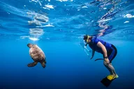 Waikiki Turtle Canyon Snorkel & Cruise thumbnail 1
