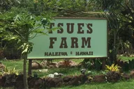Oahu Private Tour thumbnail 6