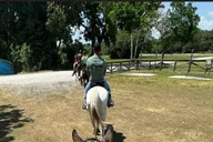 Miami Horseback Riding Tour thumbnail 2
