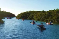 St. Pete Clear Kayak Tour in Shell Key thumbnail 4