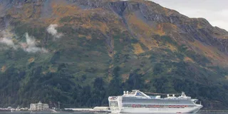 Anchorage Aerial Tram and Wildlife Tour