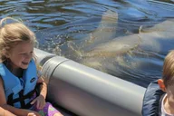 Cocoa Beach Dolphin and Manatee Eco Boat Tour thumbnail 4