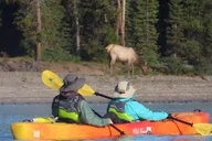 Yellowstone Lake Guided Kayak Tour with Lunch thumbnail 5
