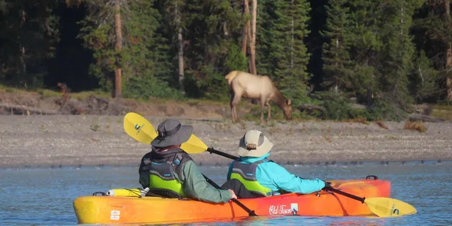 Yellowstone Lake Guided Kayak Tour with Lunch - Image 5