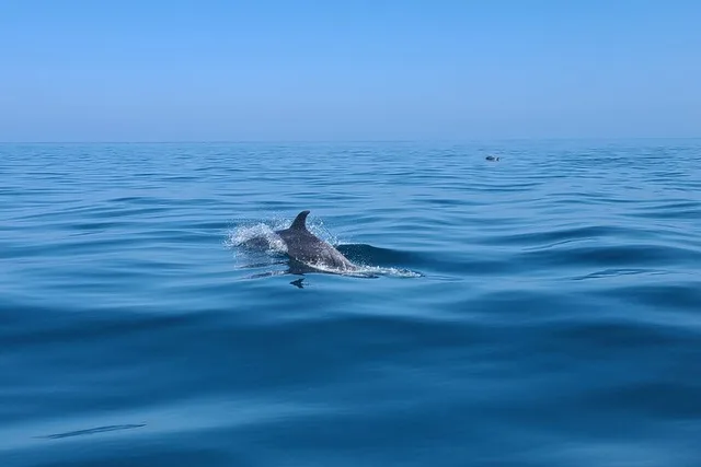 Long Beach Jetski Coastal Tour 2 hr - Image 3