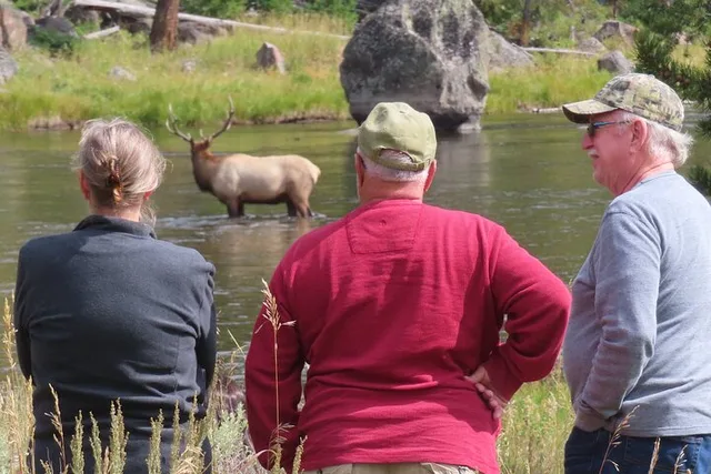 West Yellowstone Wildlife Viewing Tour with Lunch - Image 3