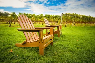 Long Island Wine Tour Experience