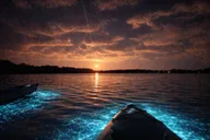 Brady Yaks Kayak Tour in Bioluminescent Waters thumbnail 2