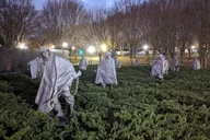 Washington DC Evening City Tour thumbnail 2