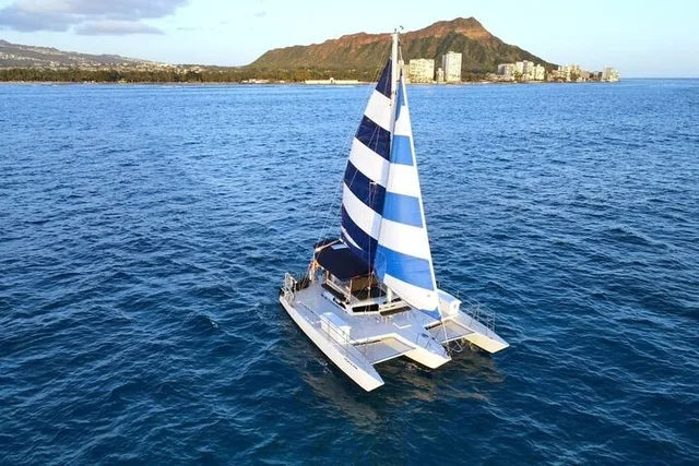 Honolulu Whale Watching Tour - Image 2