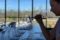 Santa Barbara Wine Tasting Tour thumbnail 3