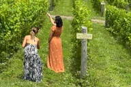 New York Hudson Valley Wine Tour thumbnail 6