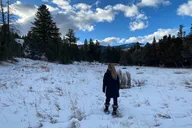 Paradise Valley Snowshoeing Tour thumbnail 2