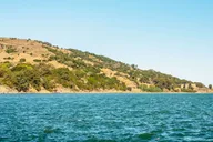 San Francisco Bay Sailing Tour thumbnail 5